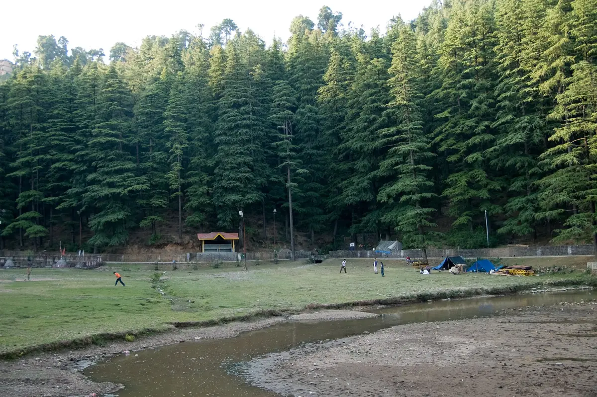 Dal Lake with Himalayan cedars near McLeod Ganj
