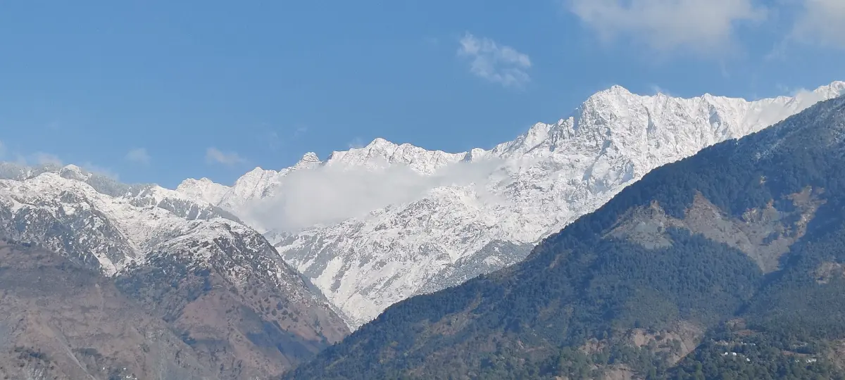 The snow-covered Dhauladhar range