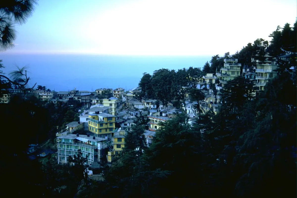 McLeod Ganj in the evening light
