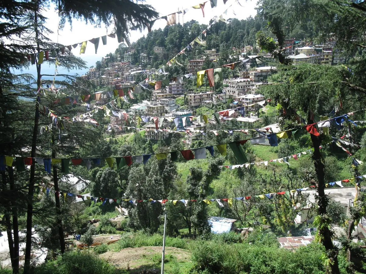 Prayer flags and pines above McLeod Ganj