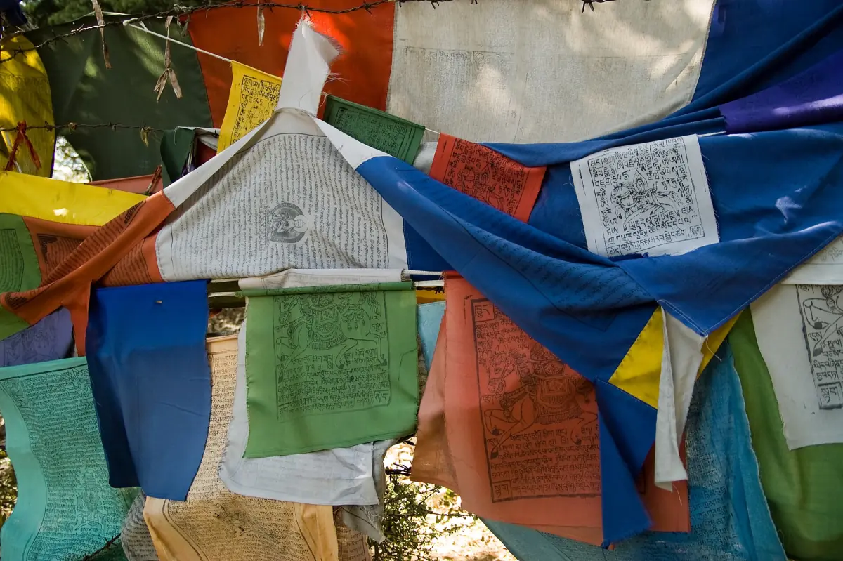 Tibetan prayer flags in the forest near McLeod Ganj