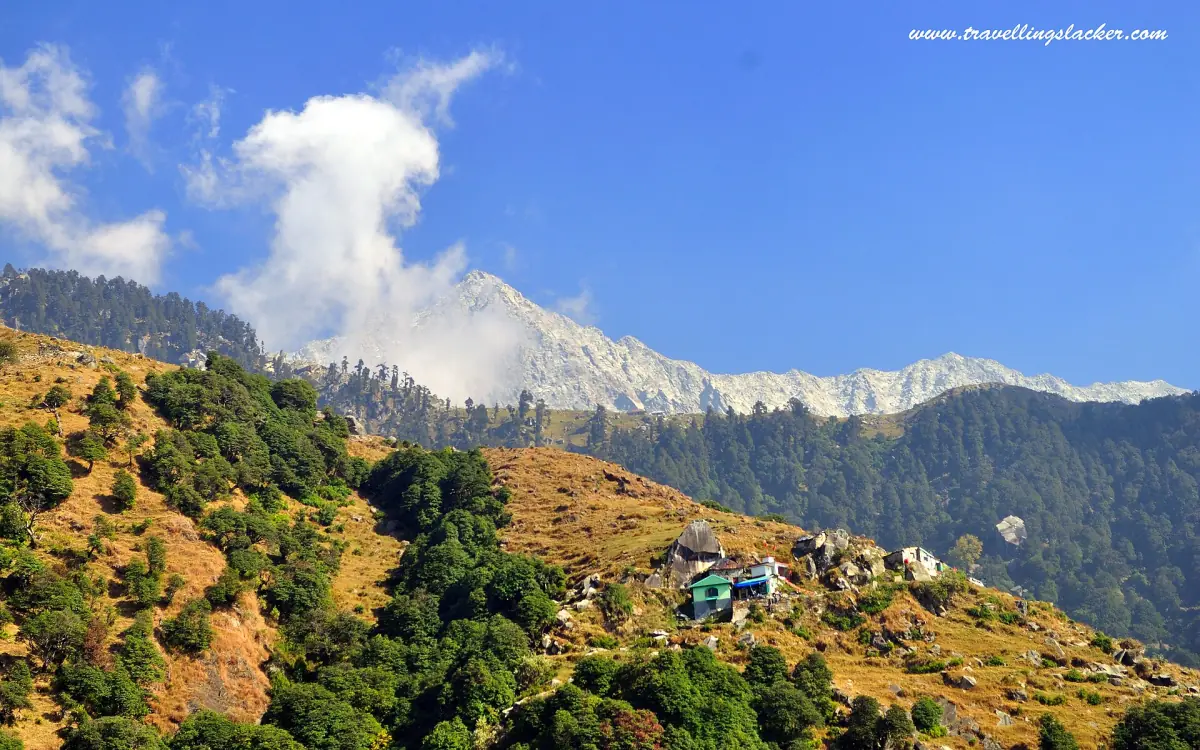 Snowy peaks above the forest on the Triund trek